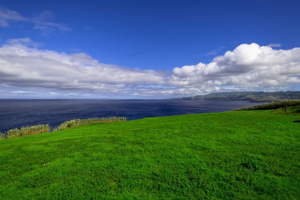 Scenic Azorean volcanic landscape adorned with lush green grass and rolling hills. A captivating view of the unique coexistence of volcanic formations and vibrant vegetation on São Miguel Island